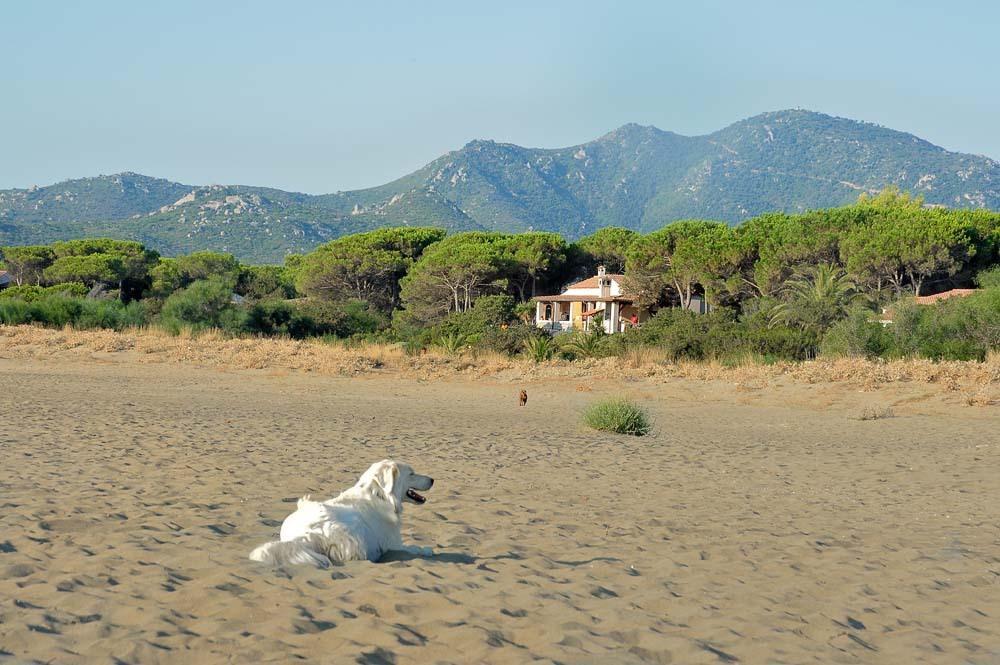 Mirto E Mare Bed and Breakfast Muravera Εξωτερικό φωτογραφία
