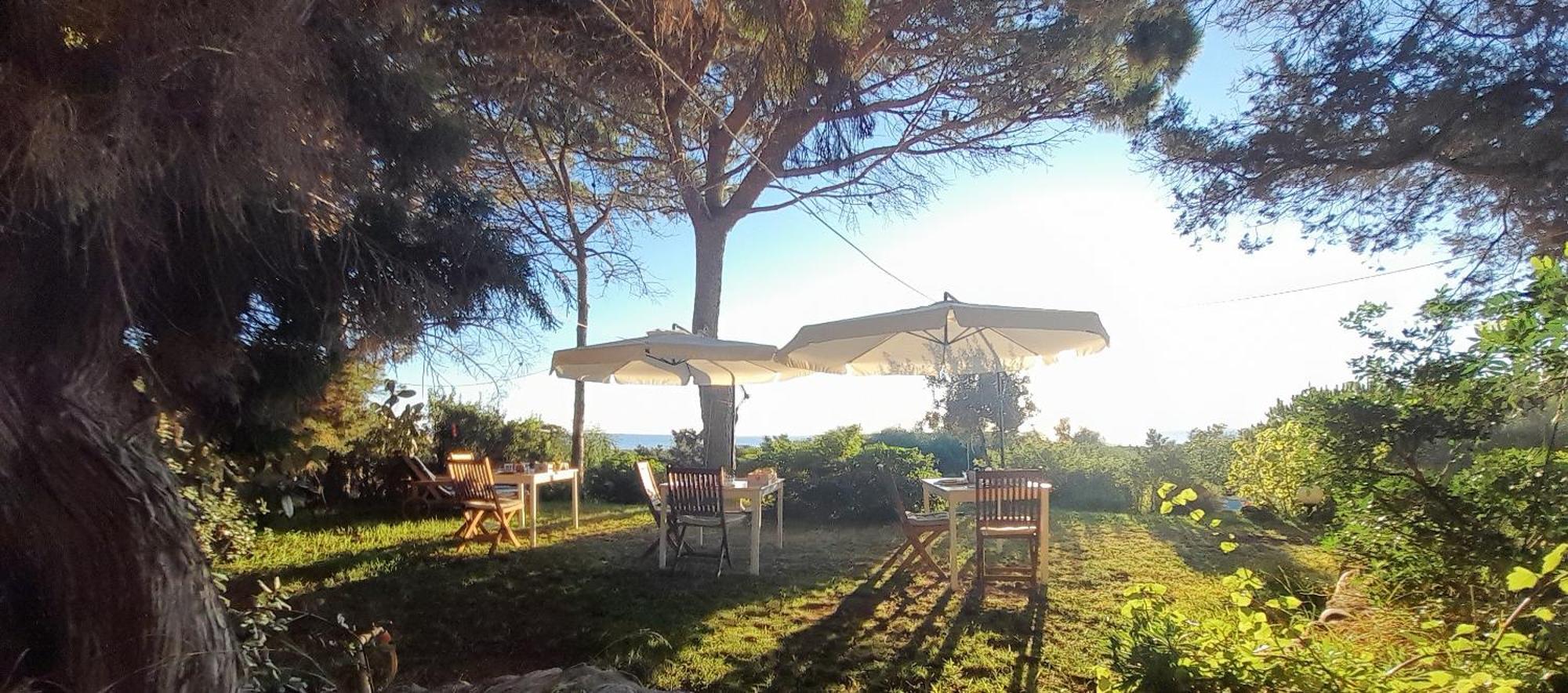 Mirto E Mare Bed and Breakfast Muravera Εξωτερικό φωτογραφία