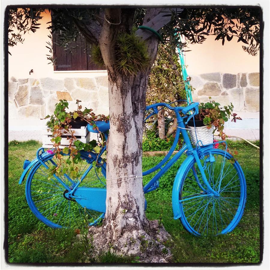 Mirto E Mare Bed and Breakfast Muravera Εξωτερικό φωτογραφία