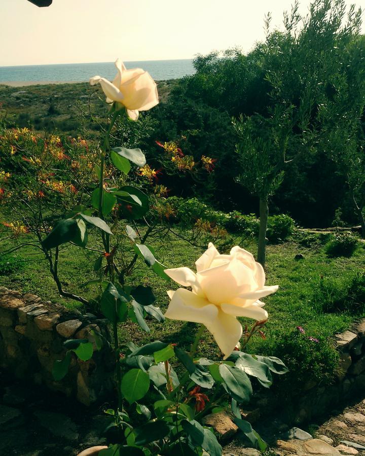 Mirto E Mare Bed and Breakfast Muravera Εξωτερικό φωτογραφία